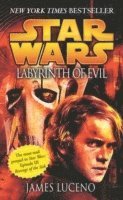 bokomslag Star Wars: Labyrinth of Evil