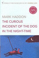 Mark Haddon - Curious Incident of the Dog in the Night-time, Häftad