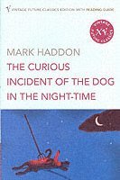 The Curious Incident of the Dog in the Night-time 1