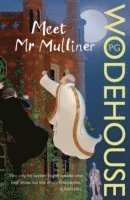 bokomslag Meet Mr Mulliner