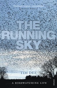 bokomslag Running Sky