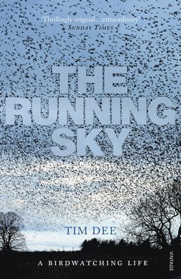 The Running Sky 1