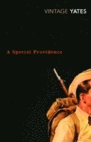 Richard Yates - Special Providence, Häftad