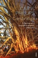 Caryl Phillips - Cambridge, Häftad