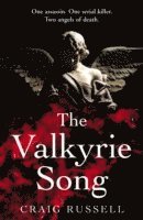 bokomslag The Valkyrie Song