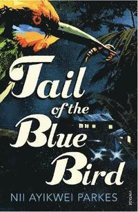 bokomslag Tail of the Blue Bird