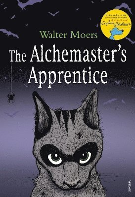 Walter Moers - Alchemaster's Apprentice, Häftad