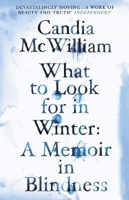 Candia McWilliam - What to Look for in Winter, Häftad