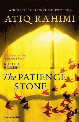 bokomslag Patience Stone