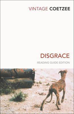 Coetzee, J: Disgrace