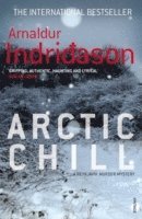 bokomslag Arctic Chill