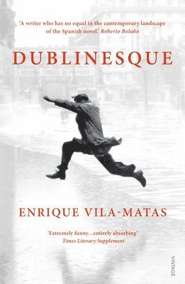 bokomslag Dublinesque