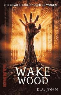 bokomslag Wake Wood