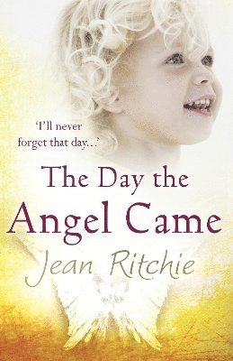 bokomslag Day the Angel Came