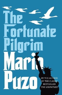 bokomslag Fortunate Pilgrim