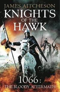 bokomslag Knights of the Hawk