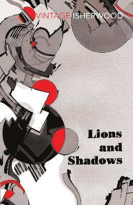 bokomslag Lions and Shadows