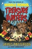 bokomslag Treasure Hunters