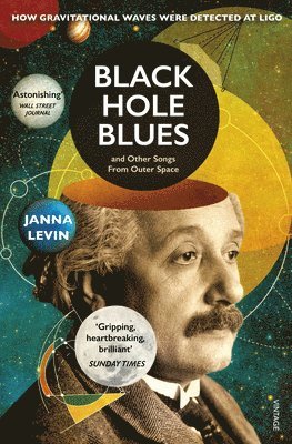 bokomslag Black Hole Blues and Other Songs from Outer Space