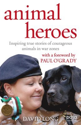 bokomslag Animal Heroes: Inspiring True Stories of Courageous Animals