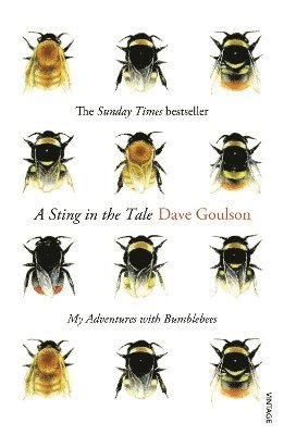 Dave Goulson - Sting in the Tale, Häftad