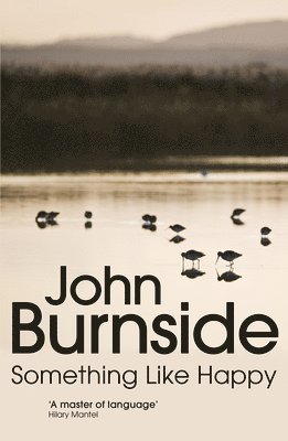 John Burnside - Something Like Happy, Häftad