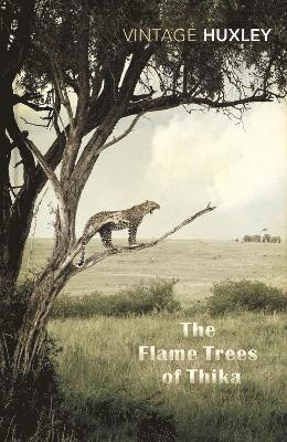 The Flame Trees Of Thika 1