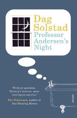 bokomslag Professor Andersen's Night
