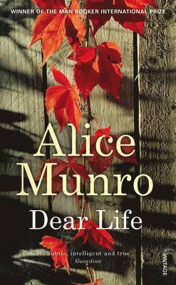 Alice Munro - Dear Life, Häftad