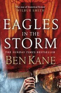 bokomslag Eagles in the Storm