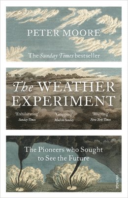 Peter Moore - Weather Experiment, Häftad