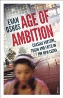 bokomslag Age of Ambition
