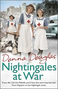bokomslag Nightingales at War