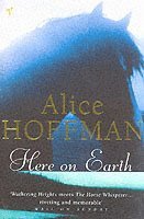 Alice Hoffman - Here On Earth, Häftad