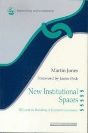 bokomslag New Institutional Spaces