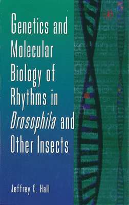 bokomslag Genetics and Molecular Biology of Rhythms in Drosophila and Other Insects