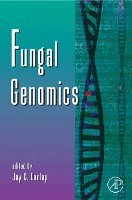 bokomslag Fungal Genomics