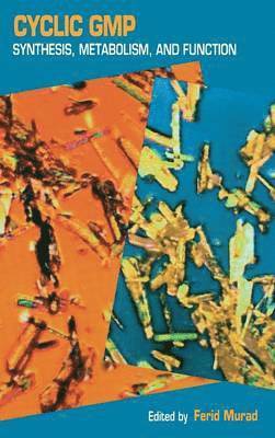 bokomslag Cyclic GMP: Synthesis, Metabolism, and Function