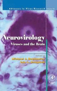 bokomslag Neurovirology: Viruses and the Brain