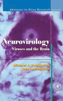 bokomslag Neurovirology: Viruses and the Brain