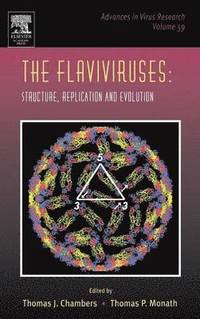 bokomslag The Flaviviruses: Structure, Replication and Evolution