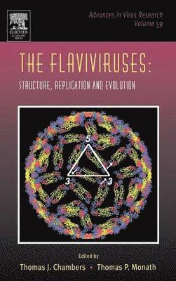 bokomslag The Flaviviruses: Structure, Replication and Evolution