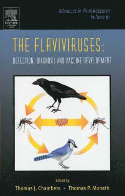 The Flaviviruses: Detection, Diagnosis and Vaccine Development, Inbunden