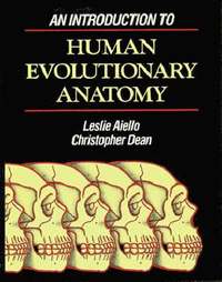 bokomslag An Introduction to Human Evolutionary Anatomy