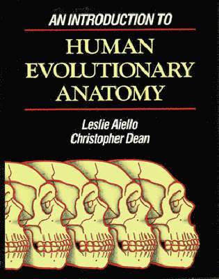 bokomslag An Introduction to Human Evolutionary Anatomy