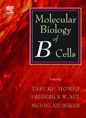 Tasuku Honjo, Michael Reth, Andreas Radbruch, Frederick Alt, Michael Neuberger - Molecular Biology of B Cells, Inbunden