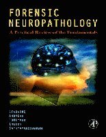 bokomslag Forensic Neuropathology