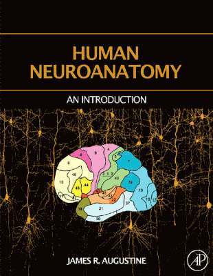 bokomslag Human Neuroanatomy