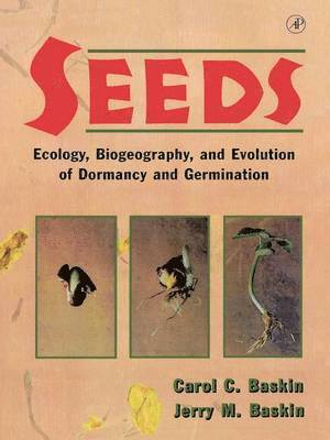 Seeds 1