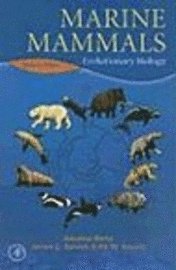 Marine Mammals